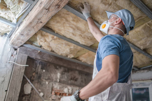 Types of Insulation We Offer in South Bloomfield, OH