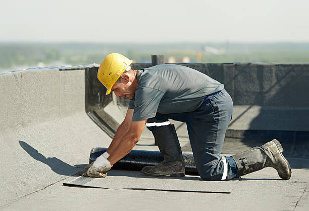 Best Energy Efficiency Insulation in South Bloomfield, OH
